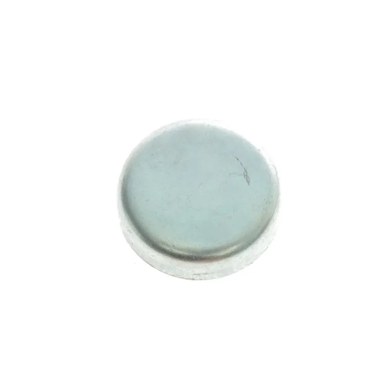 Заглушка блоку циліндрів (d=36mm)