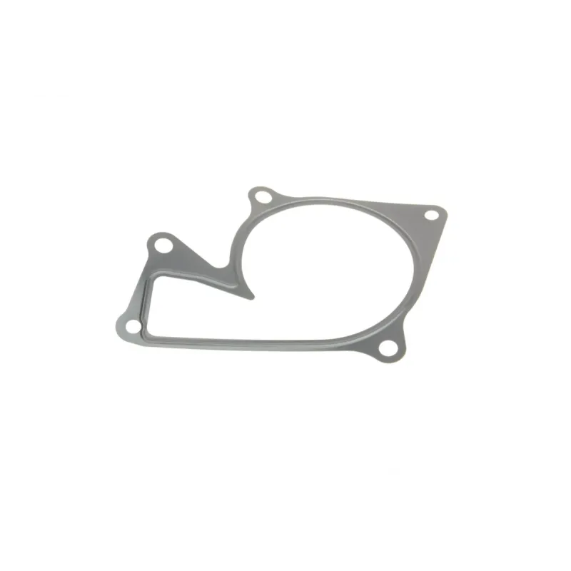 Комплект ГРМ з помпою SKF VKMC 06134-3 для Renault Kangoo/Megane 1.5dCi 123x27 мм