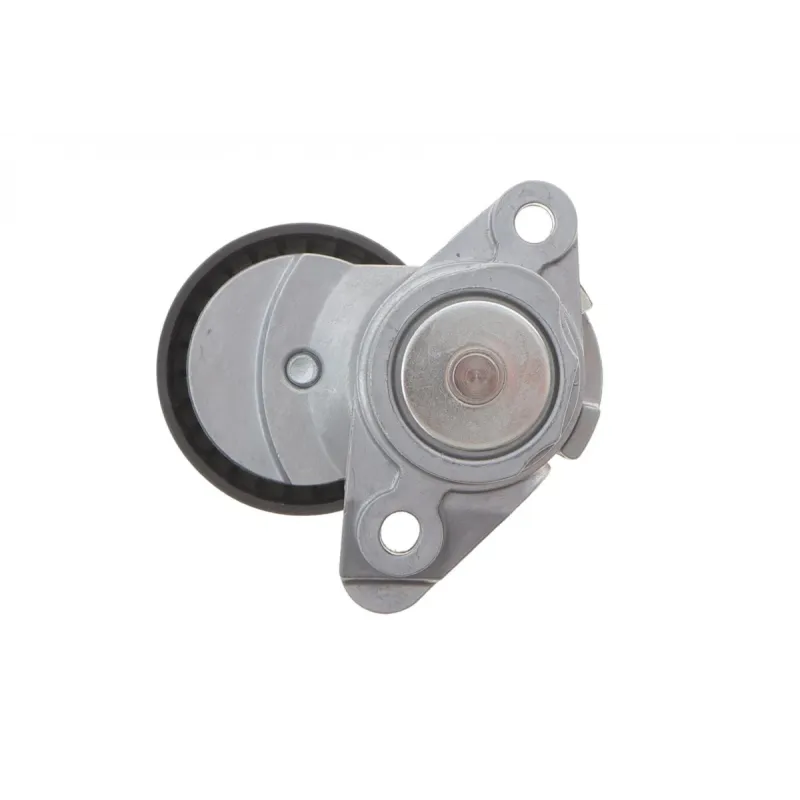 Натяжник ременя генератора SKF VKM 31272 для Volkswagen Golf VII 1.6 2014-, 0.558 кг