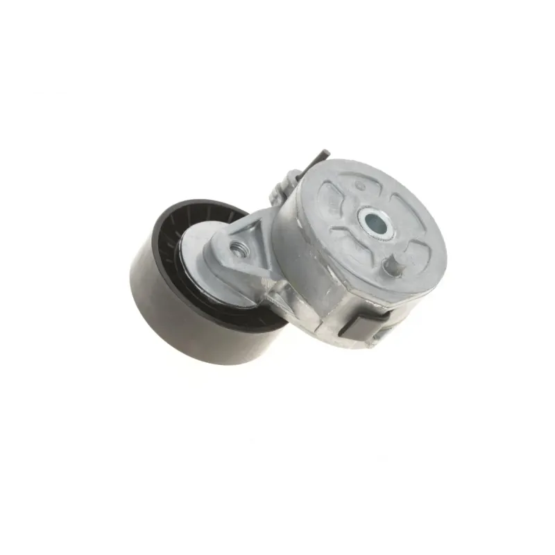 Натяжник ременя генератора SKF VKM 33033 для Fiat Scudo, Peugeot Boxer 2.0-2.2HDI 1999-2007, 70x25 мм