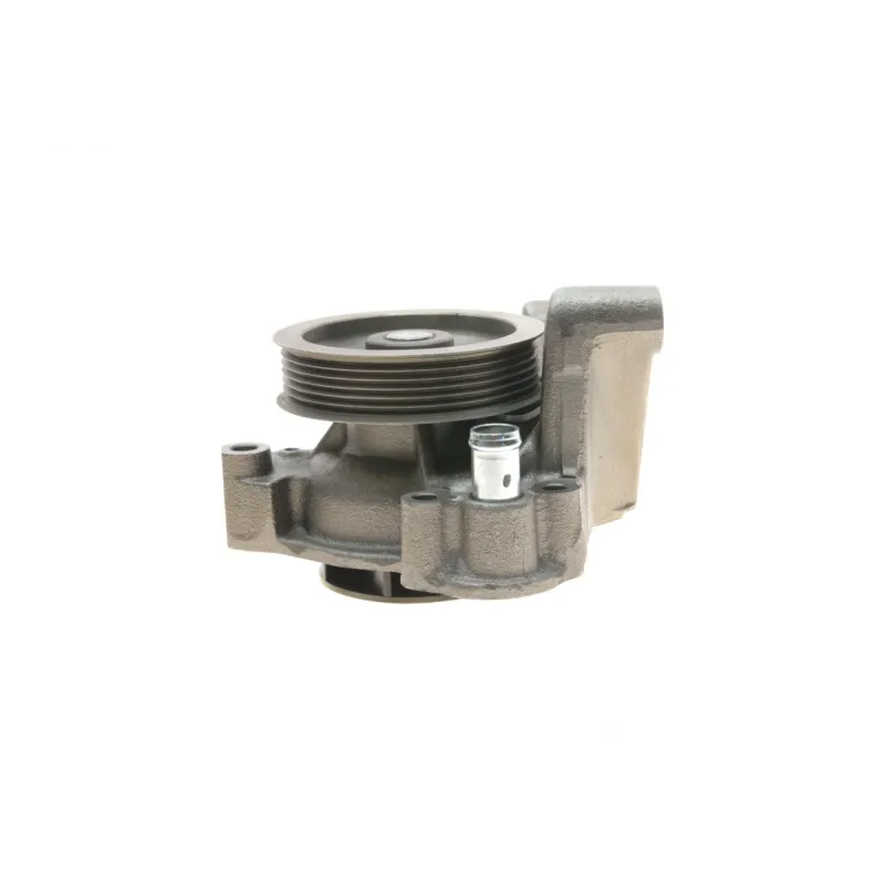 Помпа води SKF VKPC 83101 для Citroen Jumper/Peugeot Boxer/Fiat Ducato 3.0HDi/D 2006-