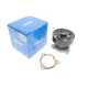 Помпа води Nissan Primera 2.0 02-/X-Trail 2.0/2.0 4x4/2.5 4x4 01-13/Renault Koleos 2.5/2.5 4x4 08-