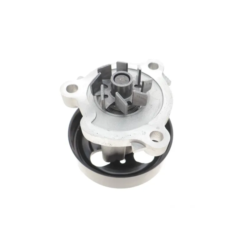 Помпа води Nissan Primera 2.0 02-/X-Trail 2.0/2.0 4x4/2.5 4x4 01-13/Renault Koleos 2.5/2.5 4x4 08-