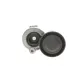 Натяжник ременя генератора Renault Kangoo 1.5dCi 09-