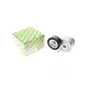 Натяжник ременя генератора SNR GA358.19 для Citroen Nemo, Fiat Fiorino, Peugeot Bipper, Opel Combo 1.3JTD 2010-