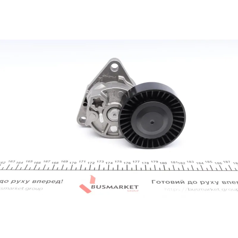 Натяжник ременя генератора Kia Carnival 2.9TD 07-