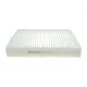 Фільтр салону Citroen C3 09-/C4 Cactus/Peugeot 2008 13-/207 06-15/208 12- (к-кт 2шт.)