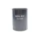 Фільтр масляний SOLGY 101088 для Toyota Land Cruiser 4.0-4.7 1998-2008, Lexus GS 430