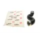 Патрубок інтеркулера SOLGY 114103 для Skoda Superb, Volkswagen Passat 1.9TDI 2000-2008, сторона двигуна, з ущільненнями