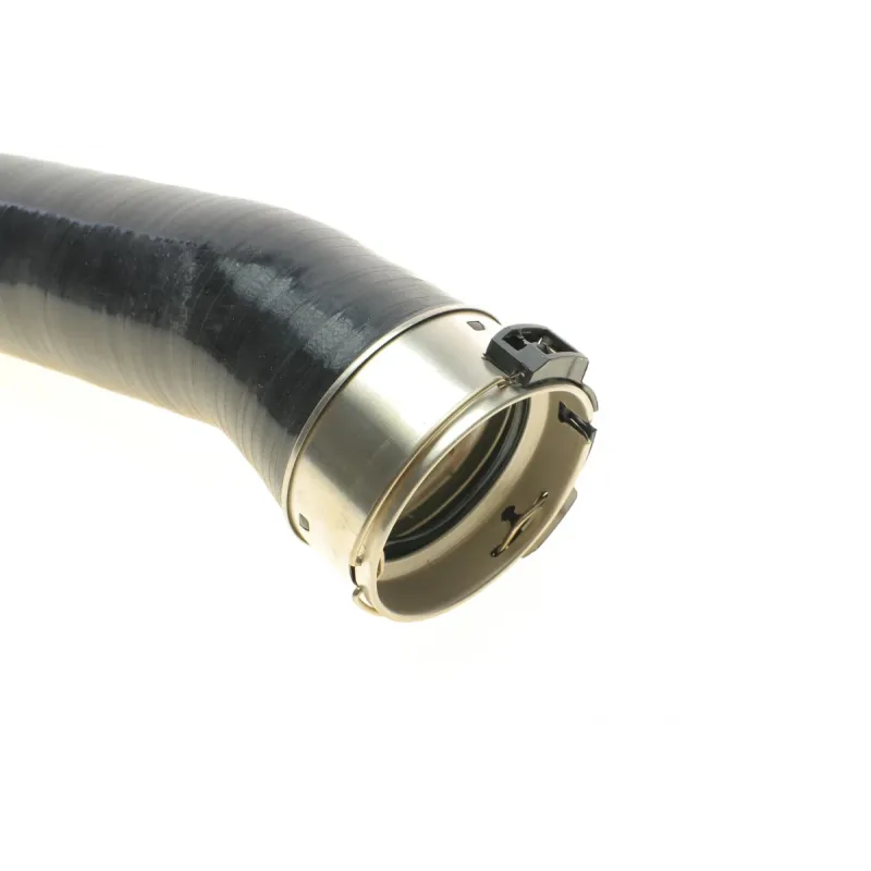 Патрубок інтеркулера (довгий) Renault Megane IV/Scenic IV 1.6 dCi 15-