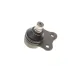 Опора кульова (передня/знизу) Ford Fiesta/Fusion 1.2-1.6 01-12