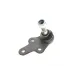 Опора кульова (передня/знизу) Ford Focus II 1.4-2.0TDCi 04-12/C-Max 07-10/Volvo C30/C70/S40 -02/06