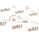 Важіль передній лівий SOLGY 204119 для Nissan Juke, Leaf (2010-)