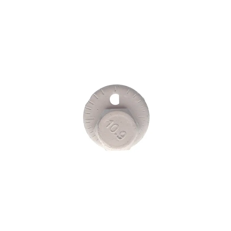 Болт регулювання кута розвалу SOLGY 204255 для Toyota RAV 4 III/IV, Lexus CT/NX, Auris, Avensis