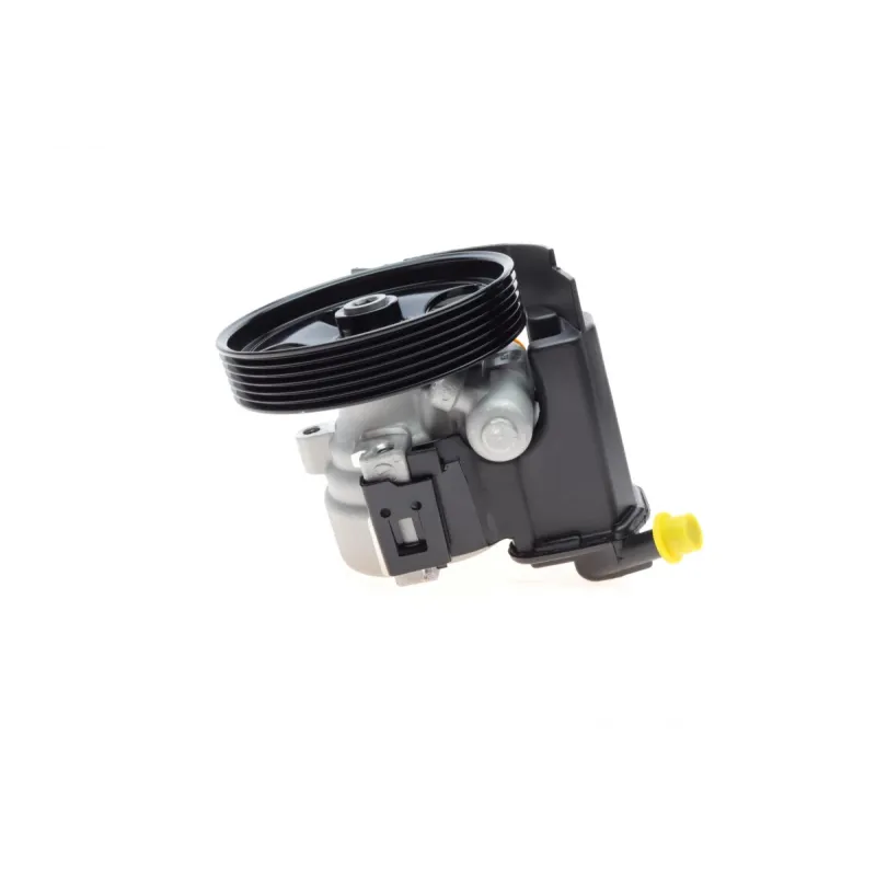 Насос ГПК Citroen Berlingo/Peugeot Partner 2.0HDI 99- (125mm)