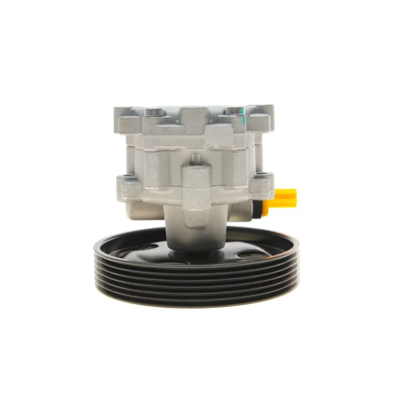 Насос ГПК Citroen Jumpy/Peugeot Expert 1.6HDi 07- (126mm; 6PK)