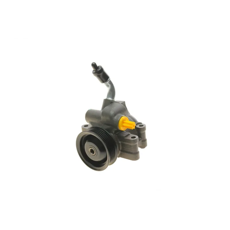 Насос ГПК SOLGY 207091 для Ford Fiesta V, Fusion, Mazda 2