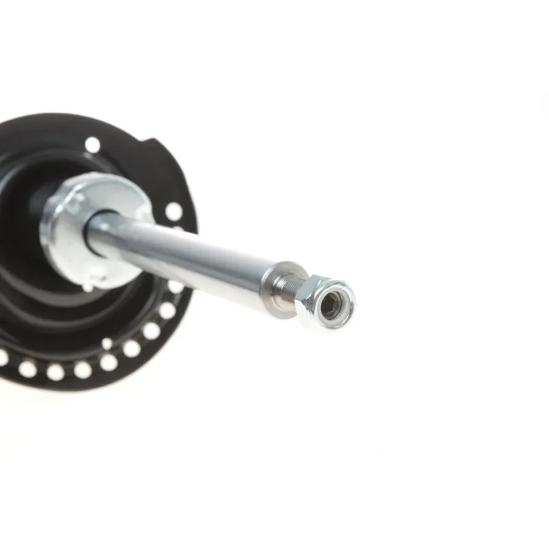 Амортизатор (передній) Renault Kangoo 08- R15/16 (maxi baza) (цапфа 36mm) (d22mm D51mm) (Газ)