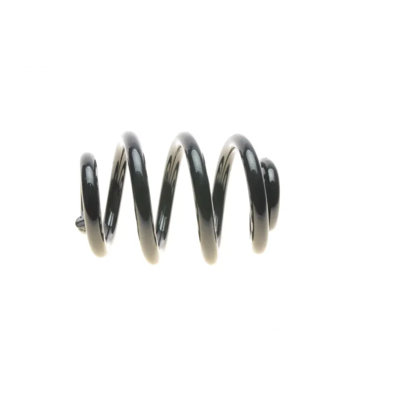 Пружина (задня) VW T5/T6/Multivan V/VI 1.9-2.0TDI/2.5TDI/3.2 V6 03- (фургон/з борт.пл)