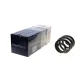 Пружина (задня) VW T5/T6/Multivan V/VI 1.9-2.0TDI/2.5TDI/3.2 V6 03- (фургон/з борт.пл)