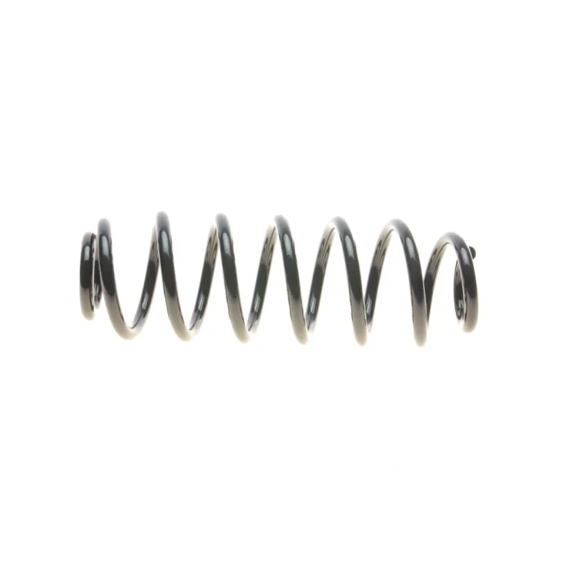 Пружина задня SOLGY 212079 для Volkswagen Passat B6/B7, Tiguan 2005-2018
