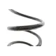 Пружина задня SOLGY 212127 для Toyota RAV 4 II 2000-2005 2.0 4WD