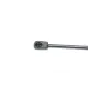 Амортизатор кришки багажника Audi A4 00-04/A6 97-05