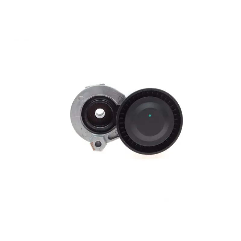 Натяжник ременя генератора TRUCKTEC AUTOMOTIVE 02.19.307 для Renault Kangoo 1.5dCi 09-, Dacia Dokker