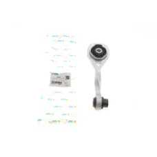 Подушка двигуна (задня) Renault Kangoo 1.5dCi/1.6 (косточка)