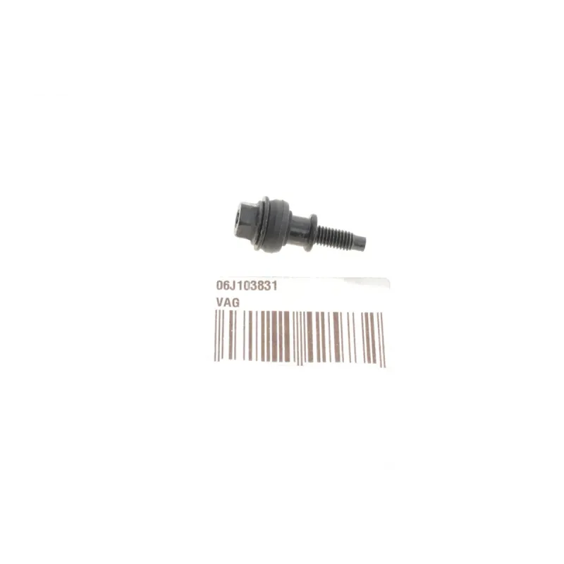 Болт кришки клапанної VAG 06J103831 для Audi A3, A4, A6 1.8/2.0 TFSI