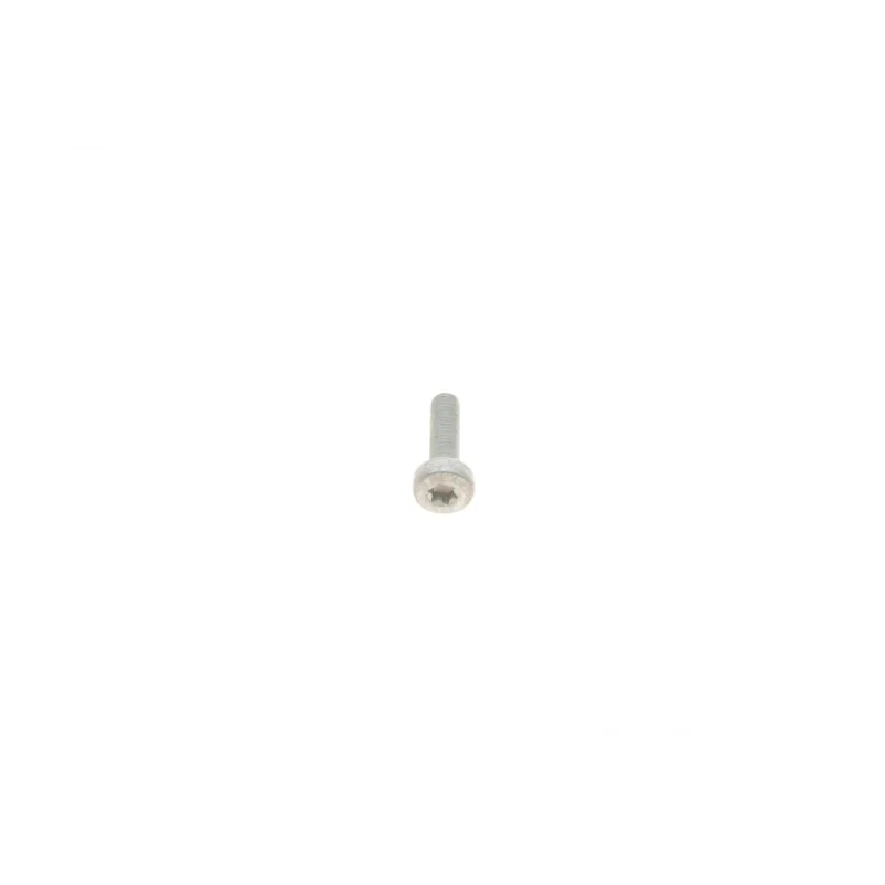 Болт ГРМ VAG (6x22)