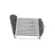 Радіатор інтеркулера VW Golf/Bora/Skoda Octavia/Seat Leon 1.9TDI 00-10