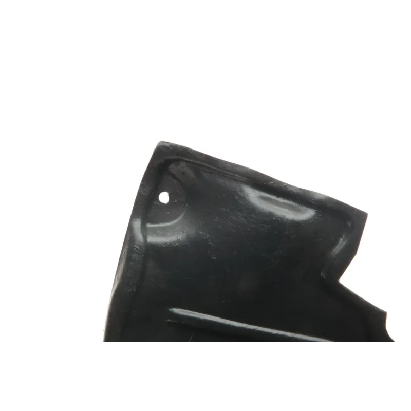 Підкрилок передній правий VAN WEZEL 4328434 для Renault Scenic II 2003-2009