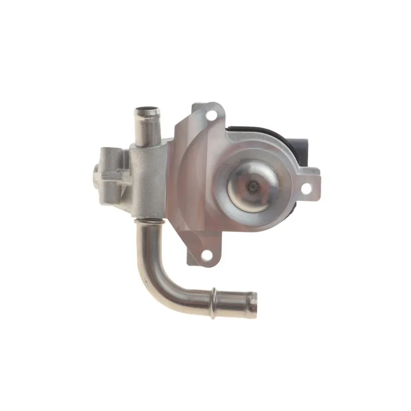 Клапан EGR Renault Kangoo 1.5 dCi 08-
