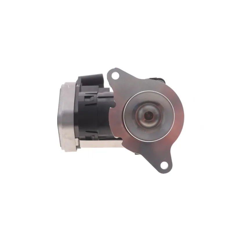 Клапан EGR MB C-class (W203)/E-class (W211) 2.2D OM646/OM611 02-09