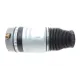 Подушка пневмопідвіски (спереду) Audi Q7/Porsche Cayenne/VW Touareg 02-15 (L)