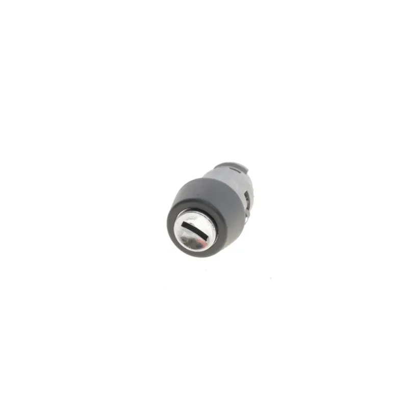Серцевина замка запалювання VIKA 99050472501 для VW T4, Seat Ibiza II, Cordoba