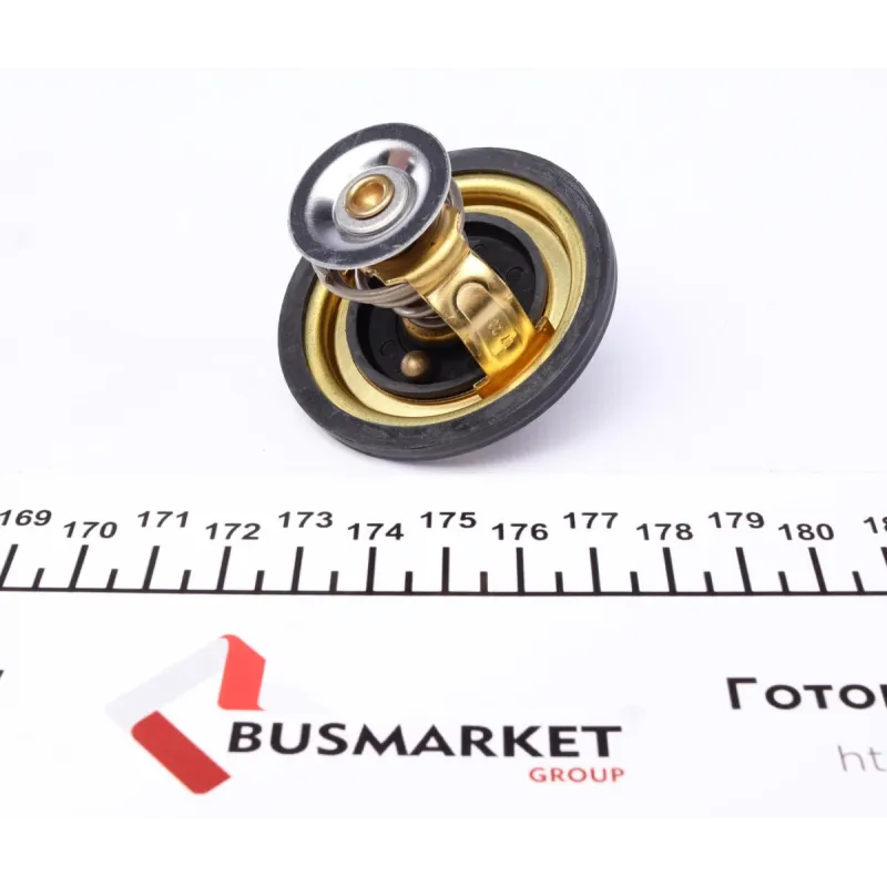 Термостат Renault Master II/Trafic 2.5-2.8D/TD/dTI 89-01 (79°C)