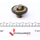 Термостат Renault Master II/Trafic 2.5-2.8D/TD/dTI 89-01 (79°C)