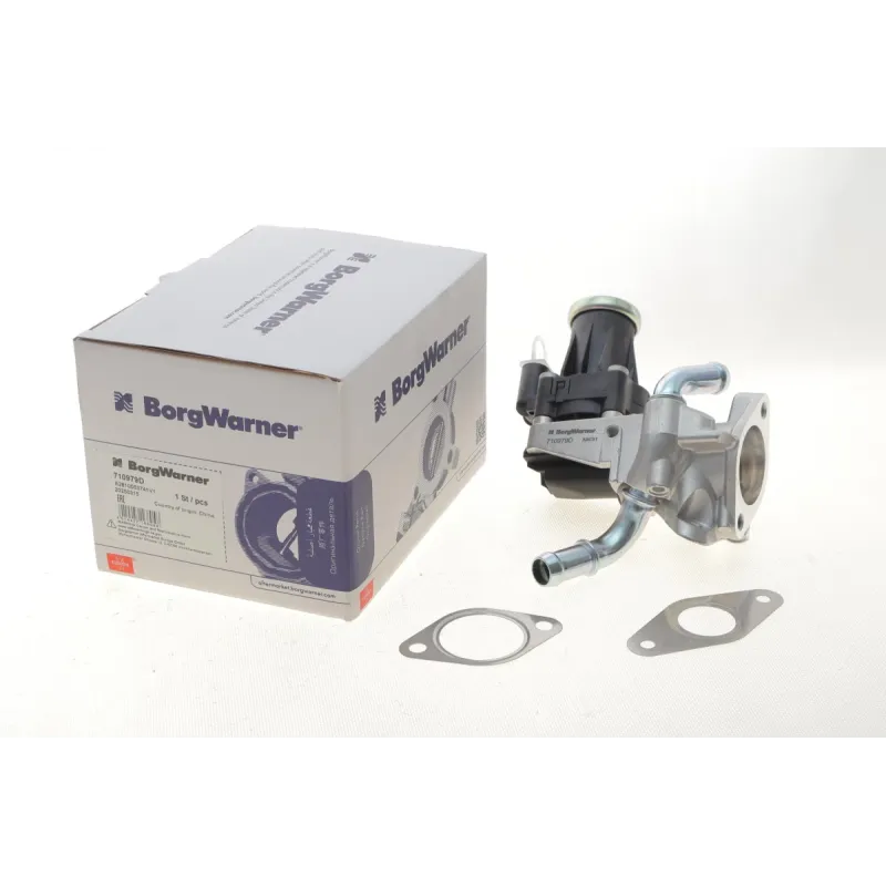 Клапан EGR Peugeot Boxer/Fiat Ducato/Citroen Jumper 2.2HDI 06-