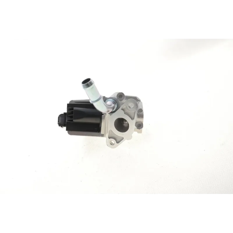 Клапан EGR Peugeot Boxer/Fiat Ducato/Citroen Jumper 2.2HDI 06-