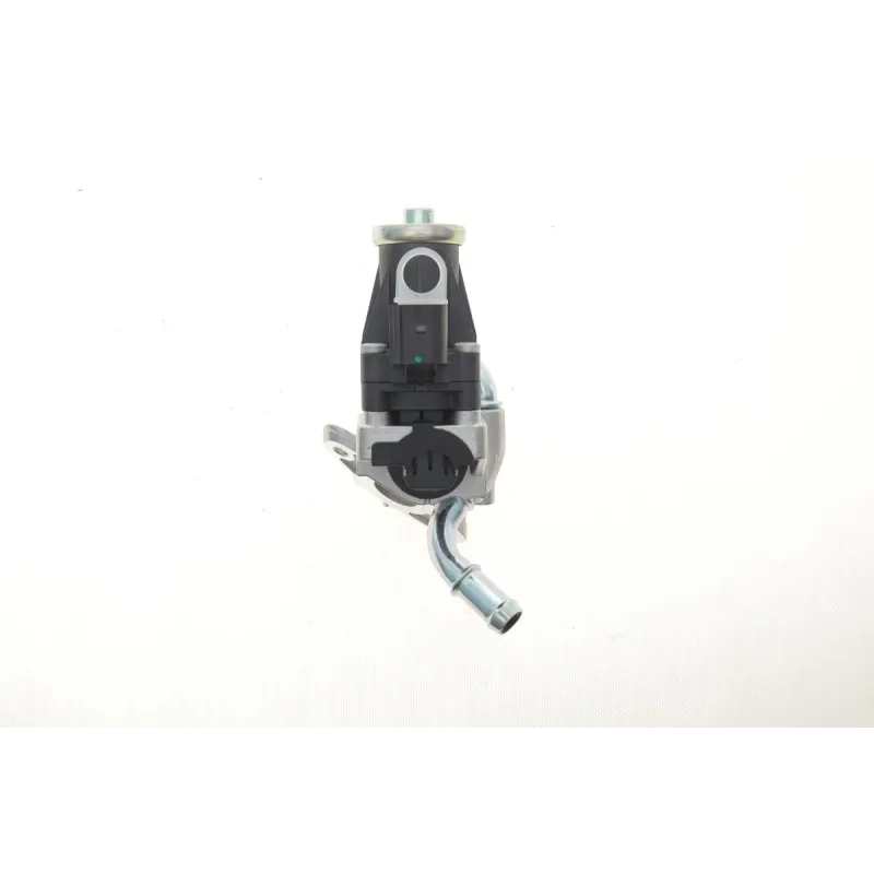 Клапан EGR Peugeot Boxer/Fiat Ducato/Citroen Jumper 2.2HDI 06-