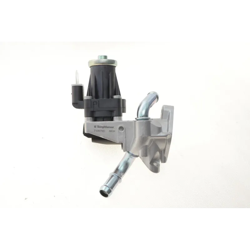 Клапан EGR Peugeot Boxer/Fiat Ducato/Citroen Jumper 2.2HDI 06-
