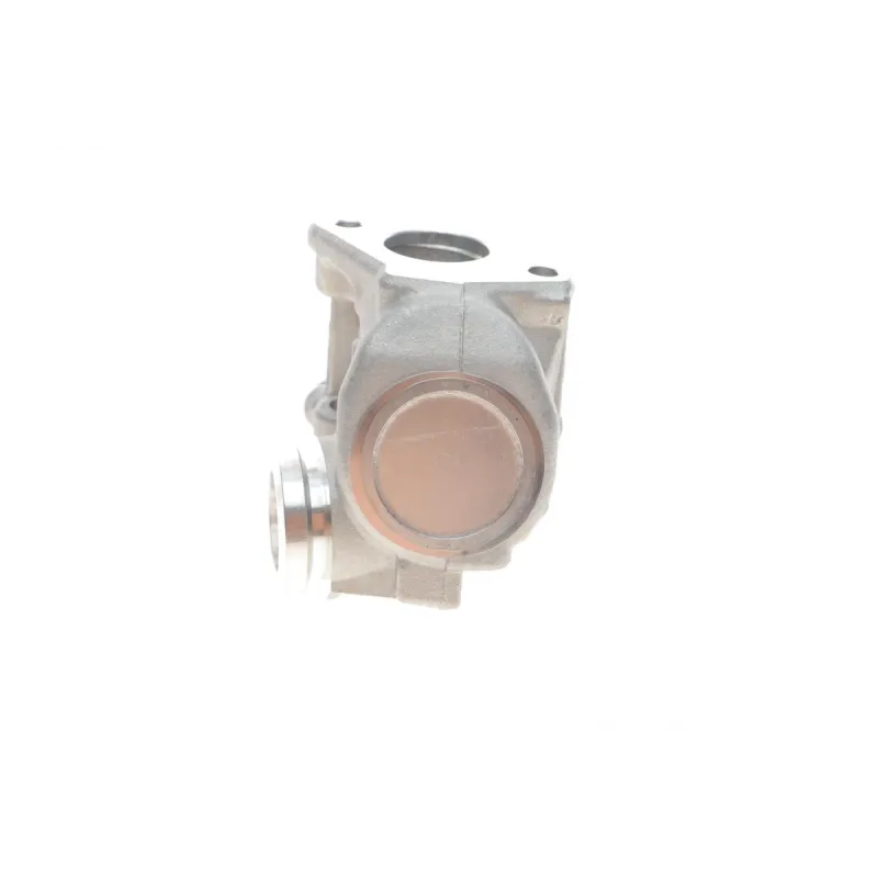 Клапан EGR WAHLER 711021D для Citroen Berlingo/Peugeot Partner 1.6HDi 2005-