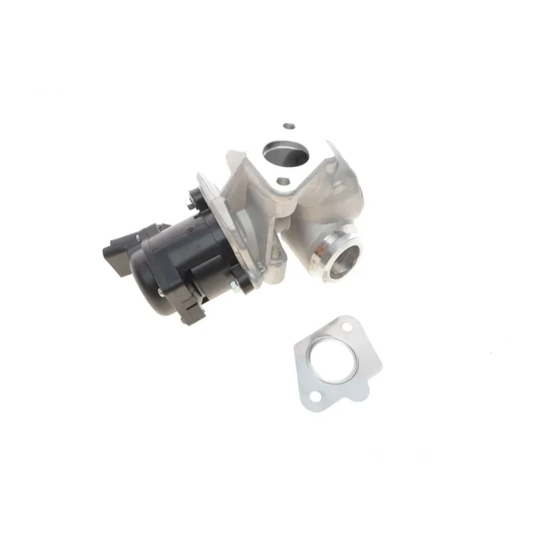 Клапан EGR WAHLER 711021D для Citroen Berlingo/Peugeot Partner 1.6HDi 2005-
