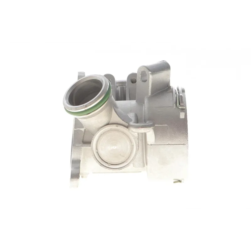 Клапан EGR MB C-class (W203)/E-class (W210) 99-07