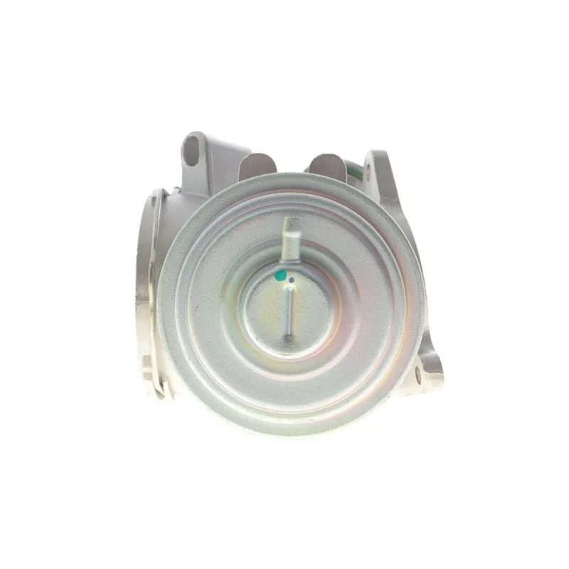 Клапан EGR MB C-class (W203)/E-class (W210) 99-07