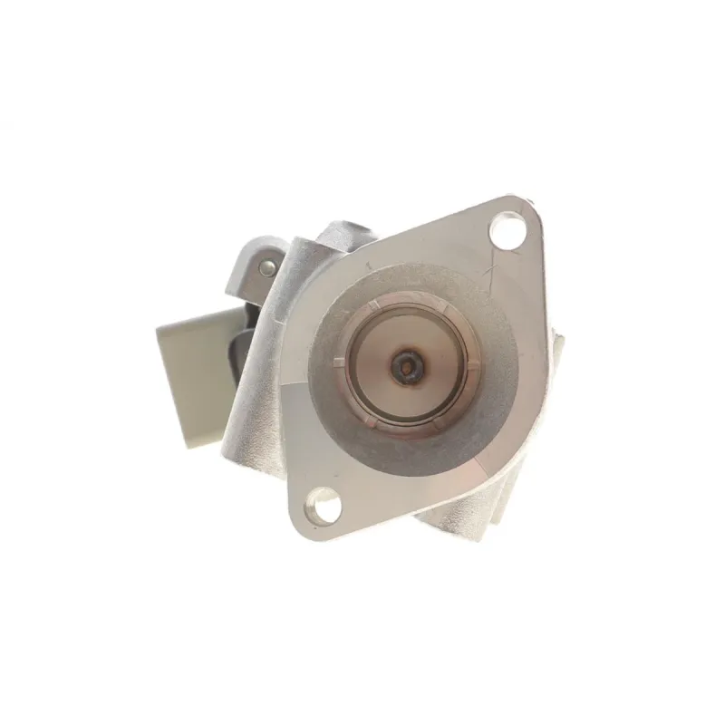 Клапан EGR Peugeot 407 2.7 HDi 05-/Land Rover Discovery 2.7 TD 04-