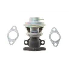 Клапан EGR WAHLER 712069D для Fiat Ducato, Iveco Daily 2.3D 2006-