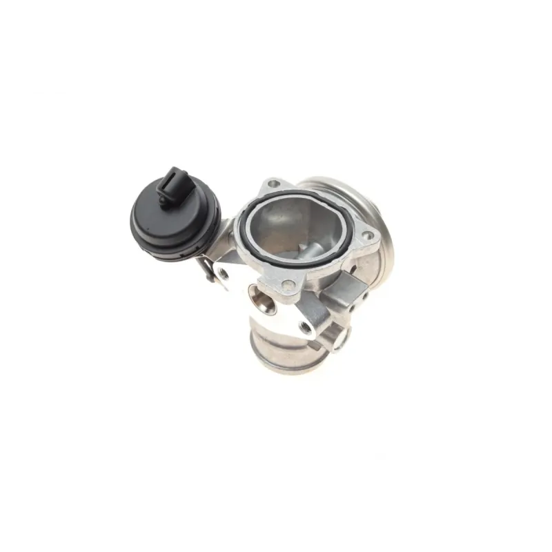 Клапан EGR VW Passat/Audi A4/A6 1.9TDI 95-10 (замінено на 7241D)